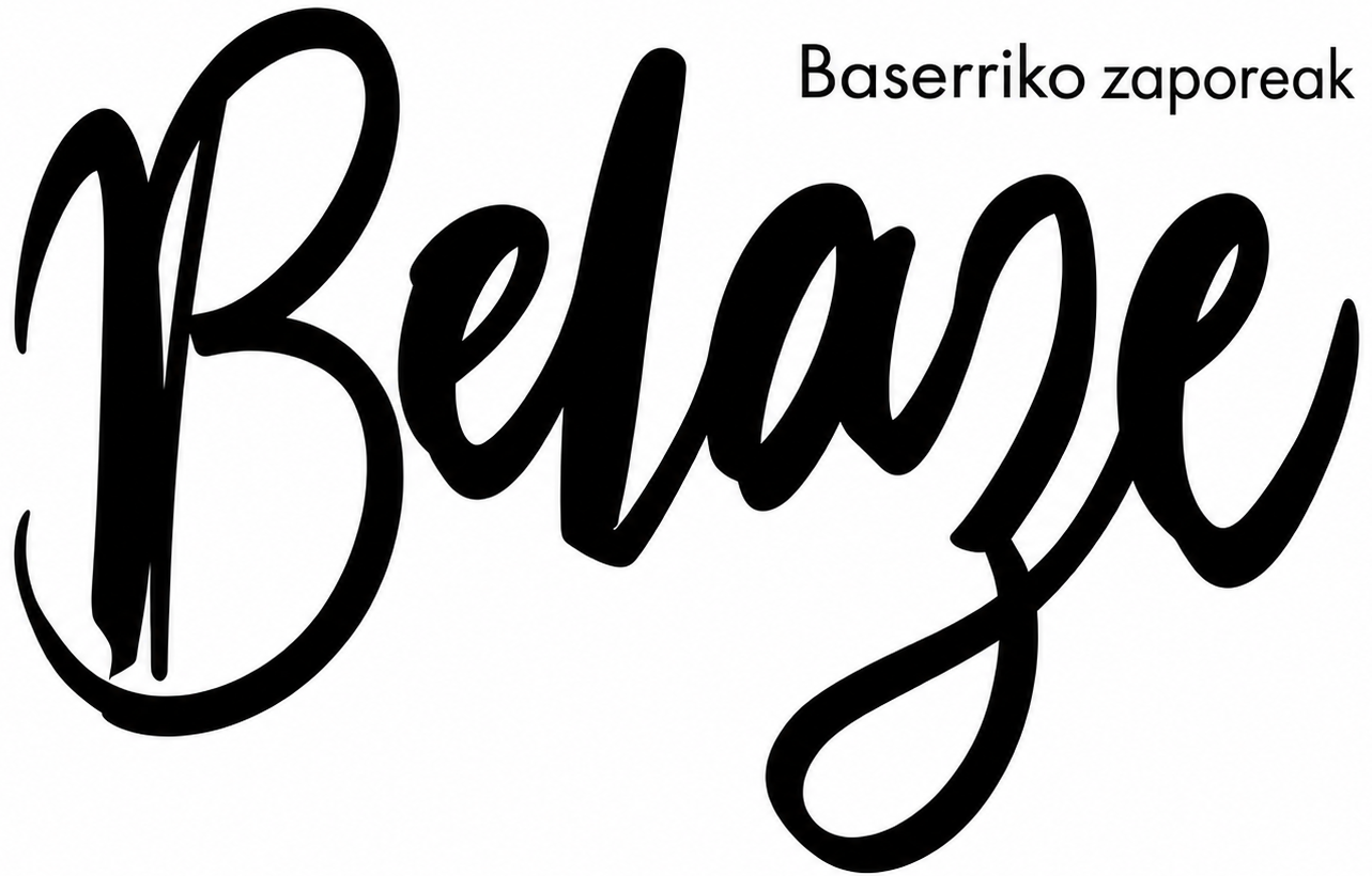 cropped-belaze-logo-1.png